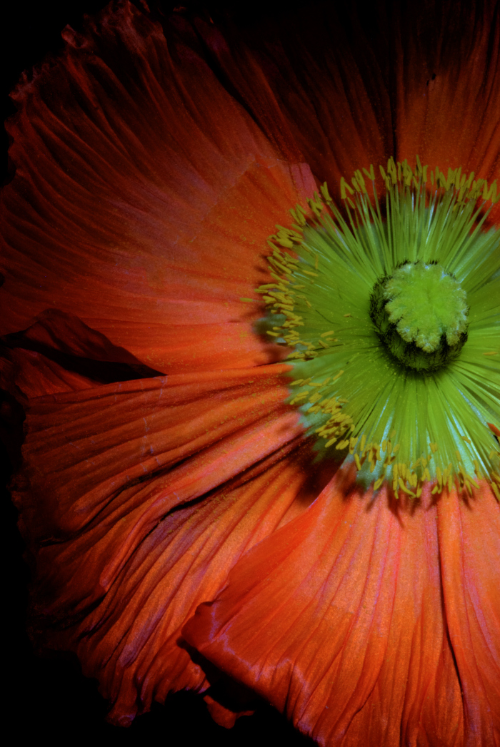 www.aroundmylittleworld.blogspot.de
