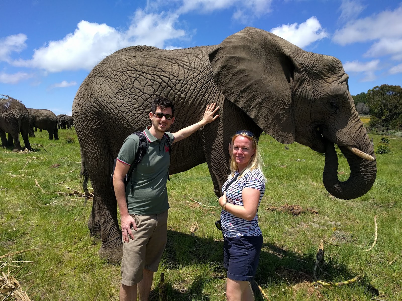 Auf Hochzeitsreise durch Südafrika