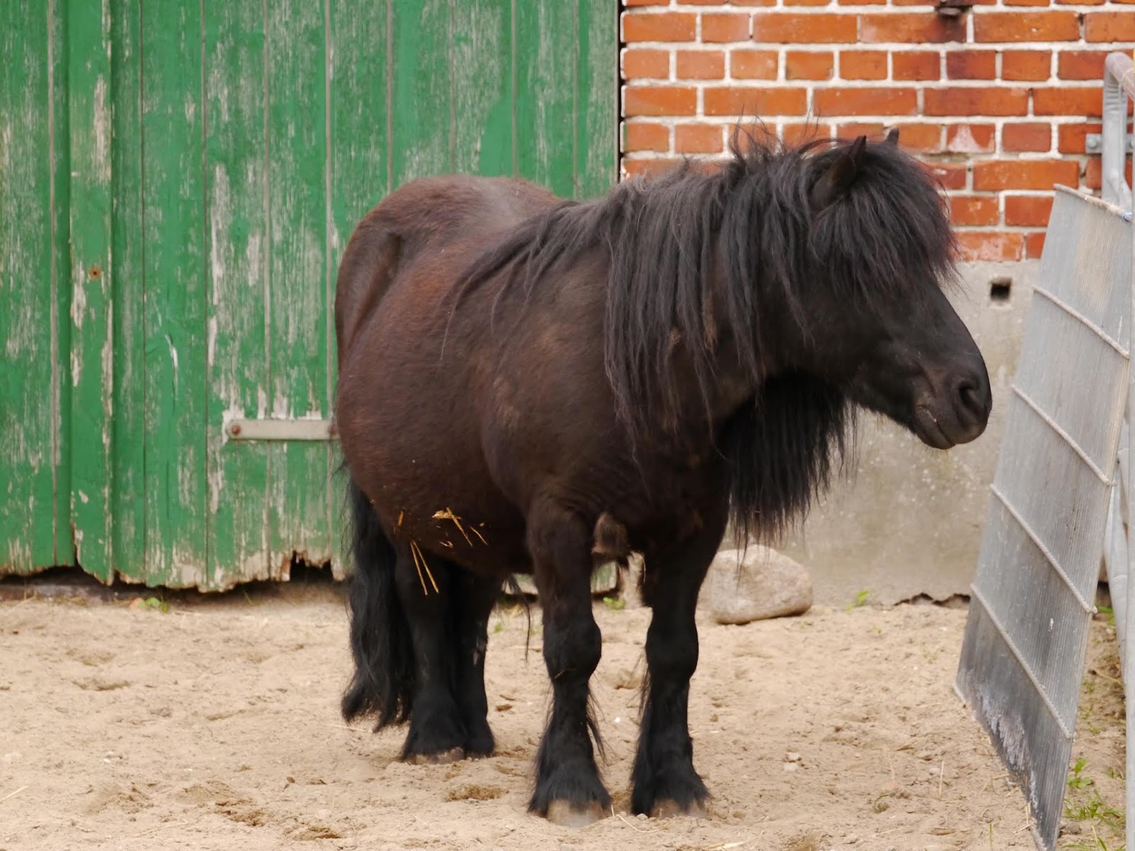 Bauernhof Wichtelweide auf Fehmarn