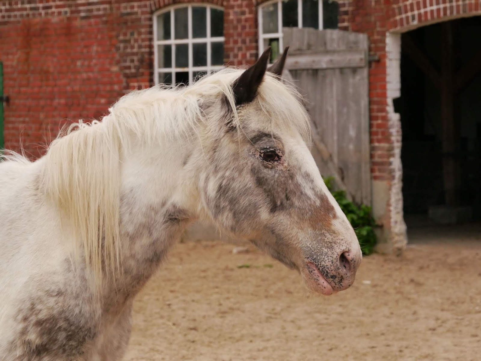 Bauernhof Wichtelweide auf Fehmarn