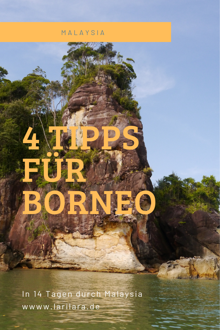 Pinterest Bild Borneo