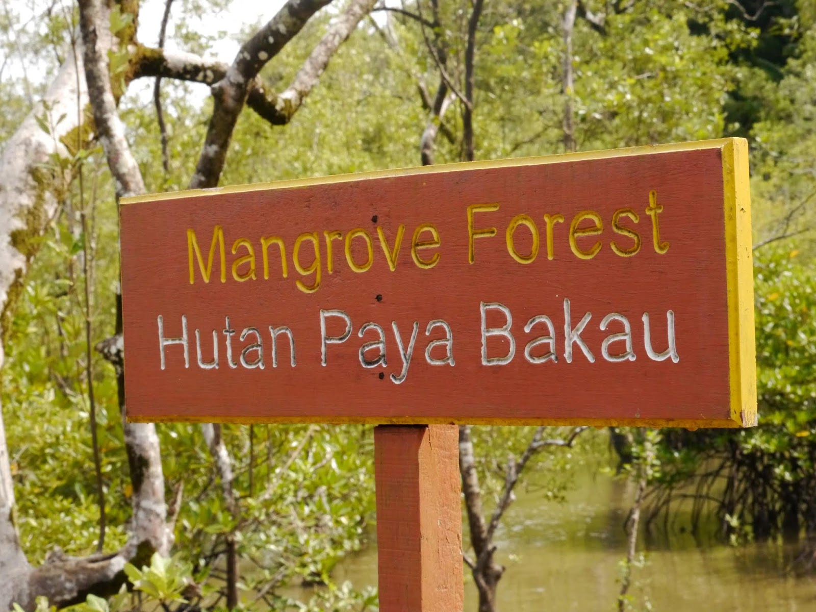 Mongrovenwald Schild Bako Nationalpark