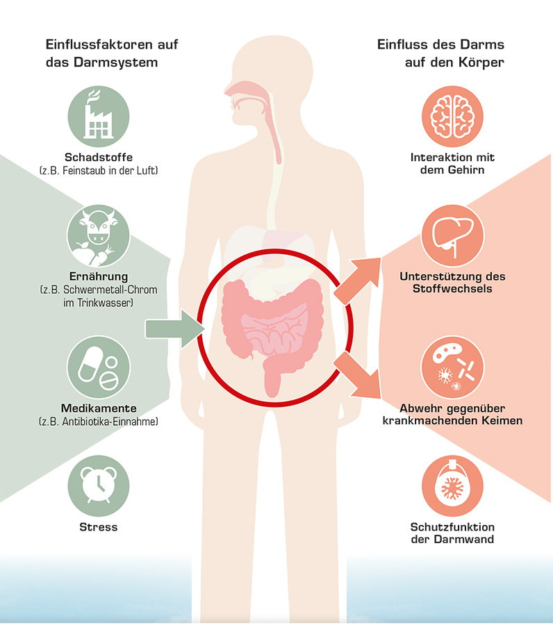 Mit Panaceo Detox Pur den Darm entgiften