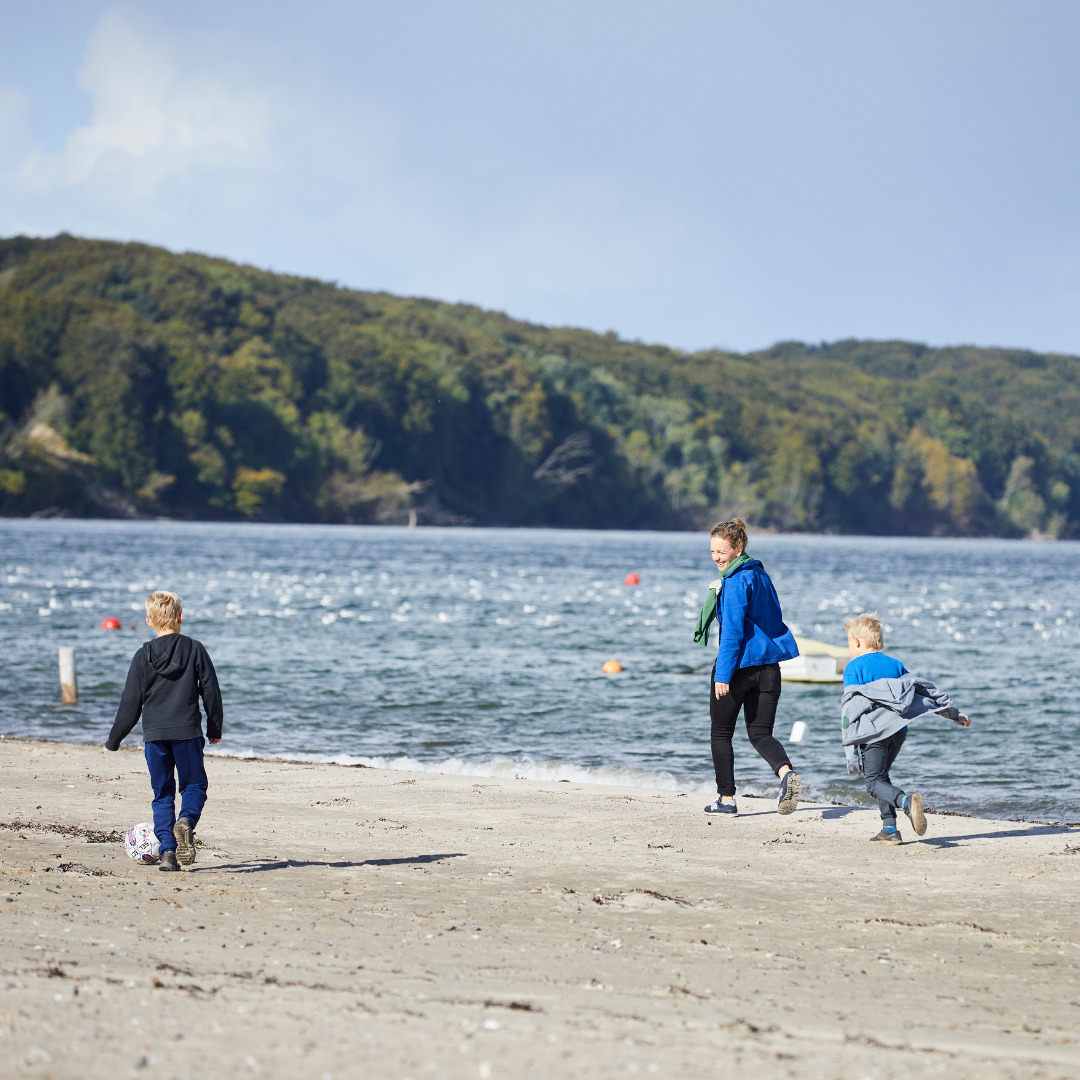 Strand im Naturpark Lillebelt