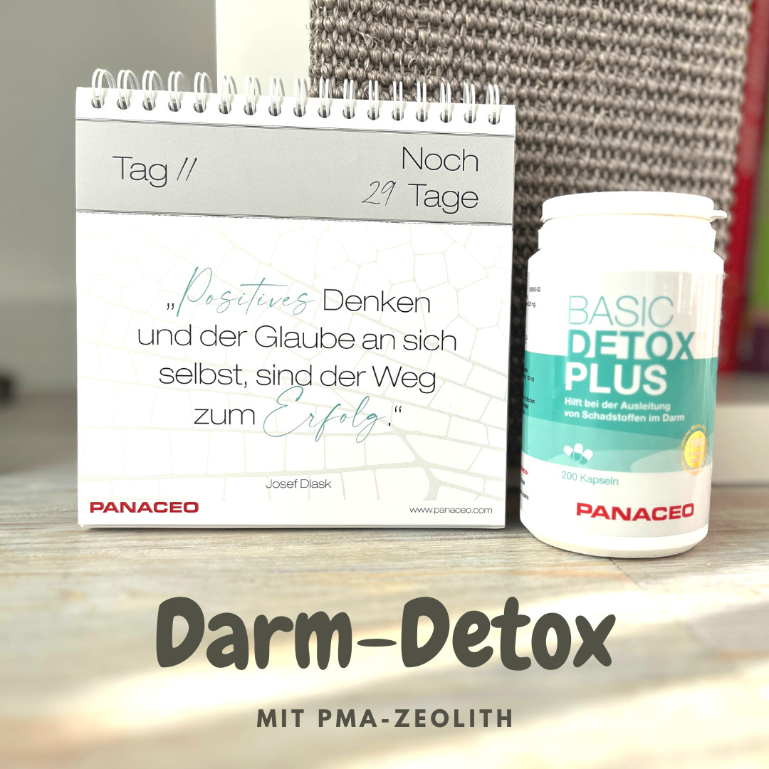Darm Detox: So entgiftest du deinen Darm in nur 3 Monaten