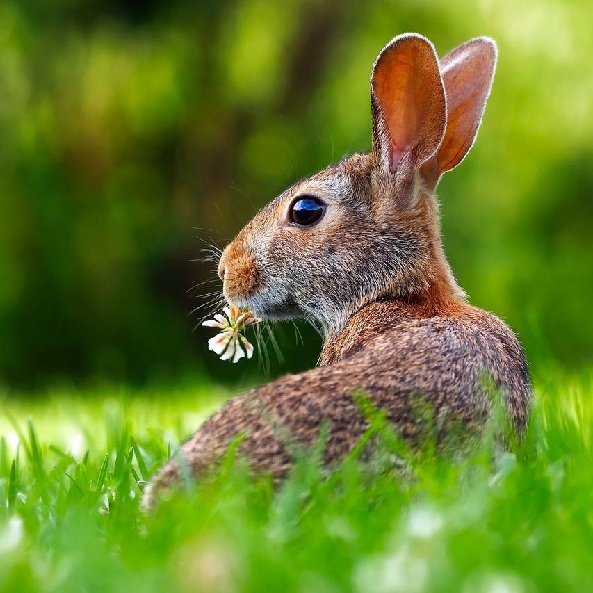 Geschenke zu Ostern