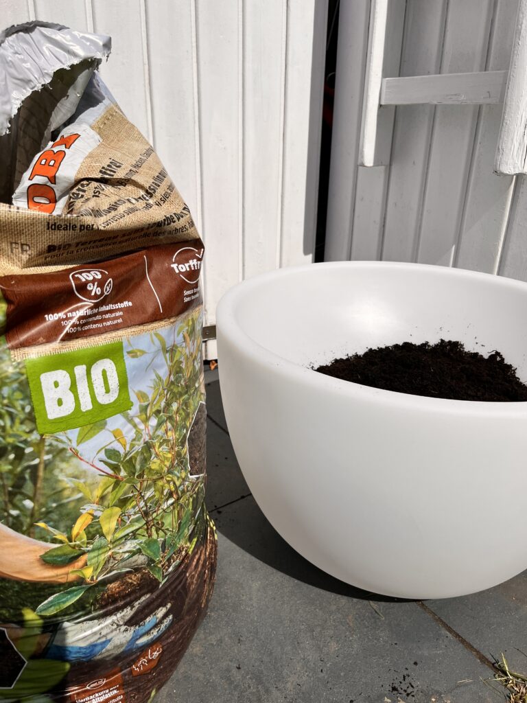 Bio-Erde für den Pflanzkübel von 8 season design