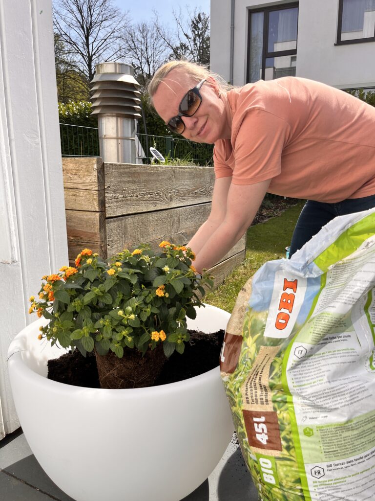 Bepflanzung des Blumentopfes