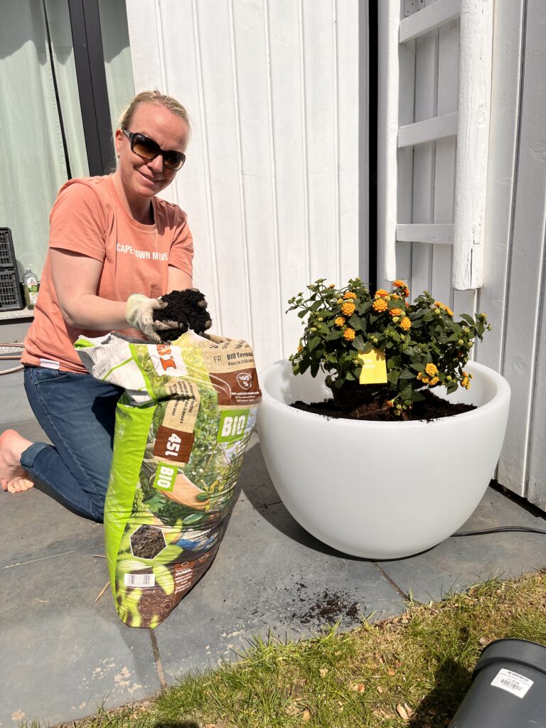 Den Blumentopf mit LED-Beleuchtung bepflanzen