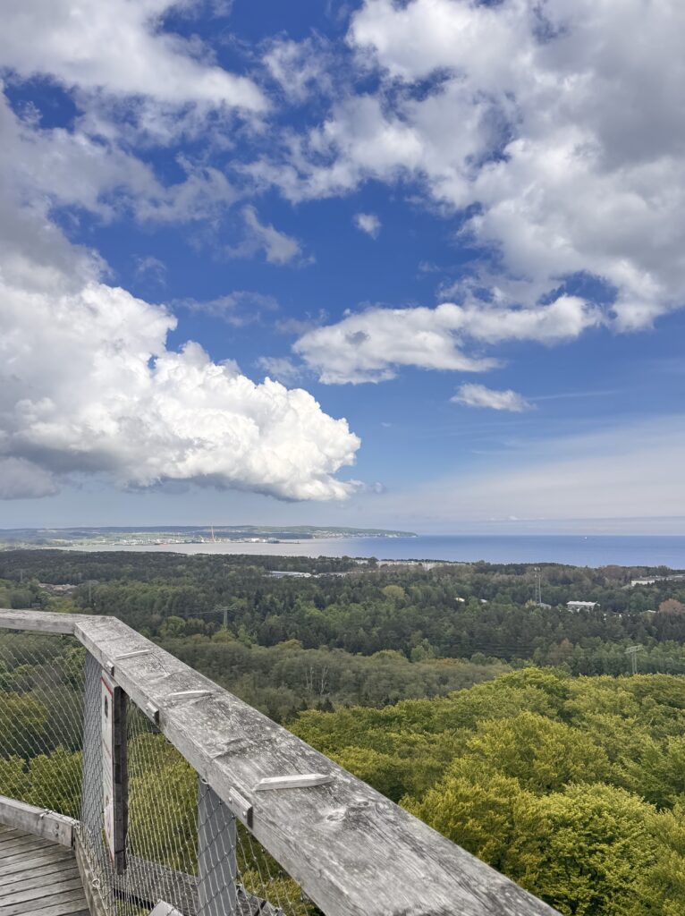 Rügen Sehenswürdigkeiten Baumwipfelpfad