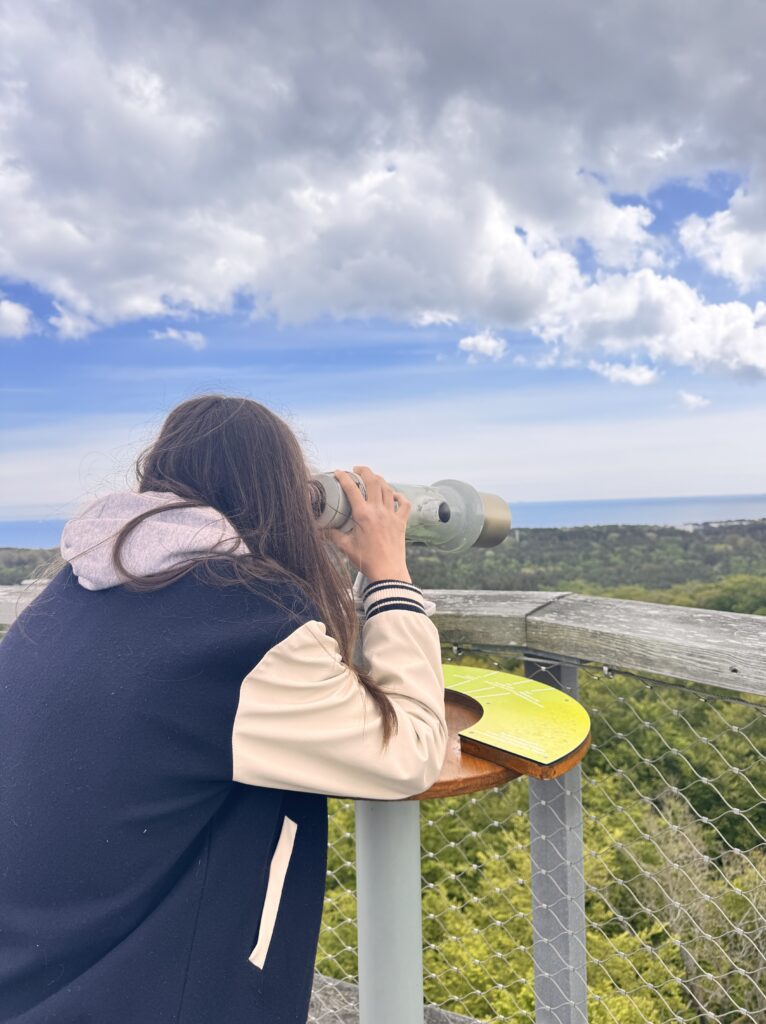 Rügen Sehenswürdigkeiten Baumwipfelpfad