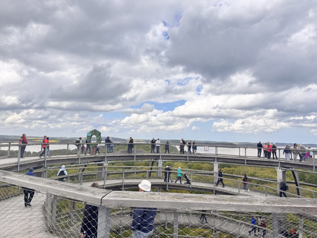 Rügen Sehenswürdigkeiten Baumwipfelpfad